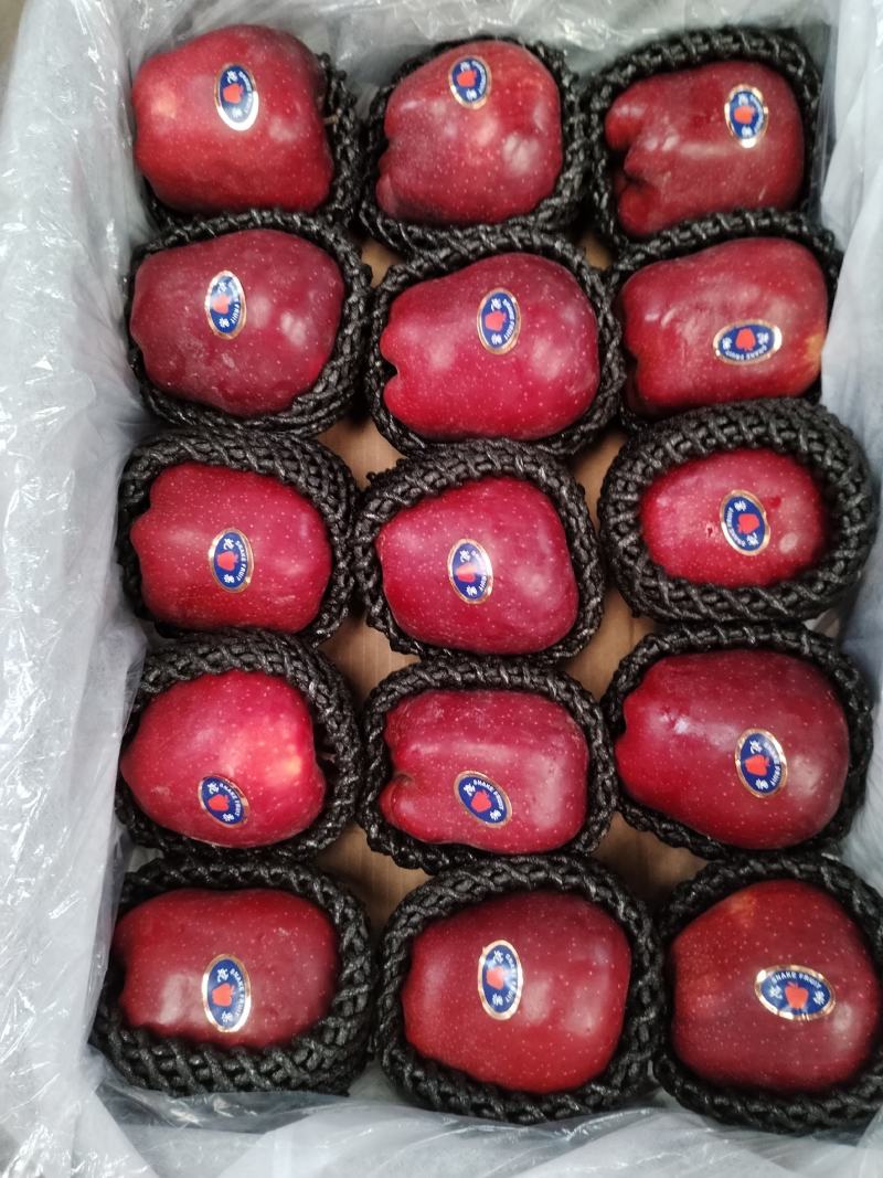 精品花牛果，冷库特级果农一手货源量大从优欢迎选购