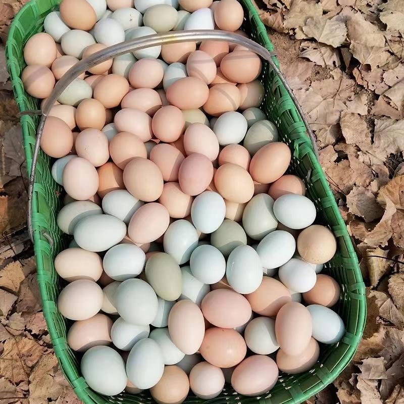 湖北农村散养土鸡蛋，物美价优，欢迎大家来电咨询