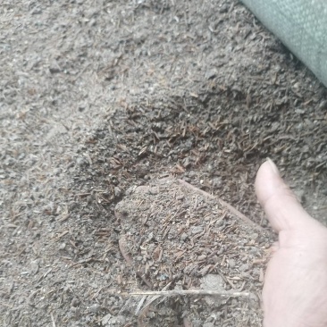 干鸡粪有机肥对接全国，透明价格，日供万吨，实力供货