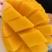 海南金煌芒