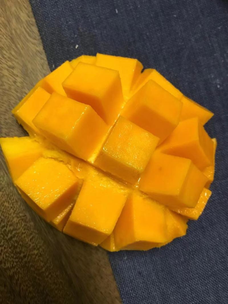 海南金煌芒