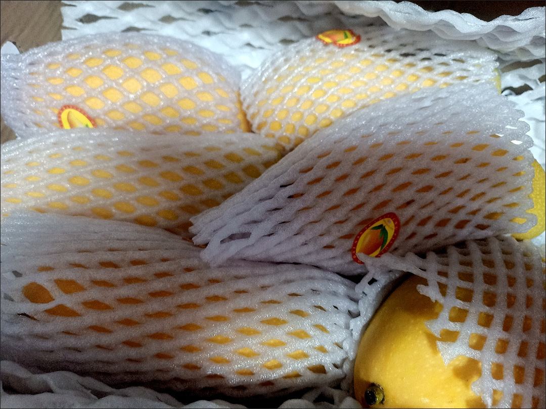 芒果浓缩汁产品包装示意图