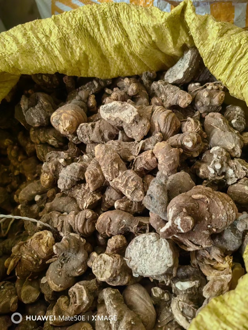 产地干重楼便宜出售走量
