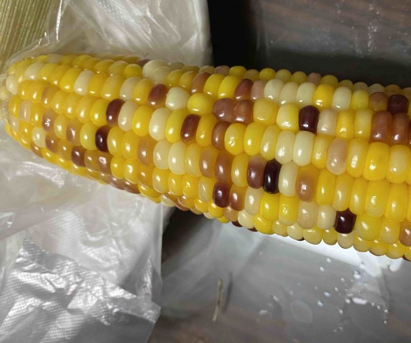 冷冻鲜玉米