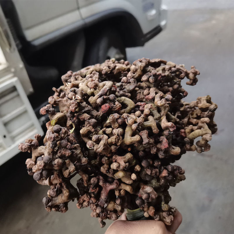 新货拐枣干野生拐枣果万寿果积具子鸡凤爪梨新鲜干货泡酒