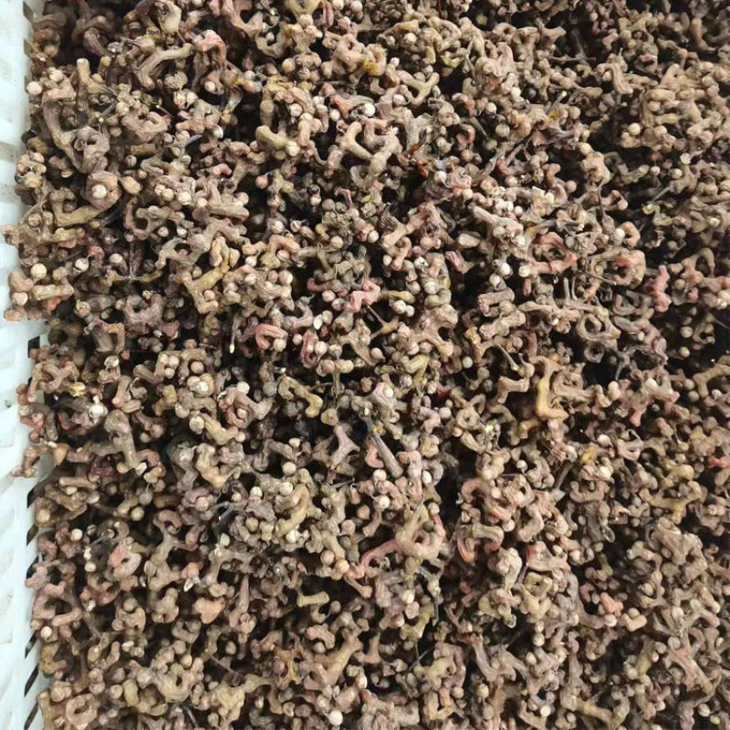 新货拐枣干野生拐枣果万寿果积具子鸡凤爪梨新鲜干货泡酒