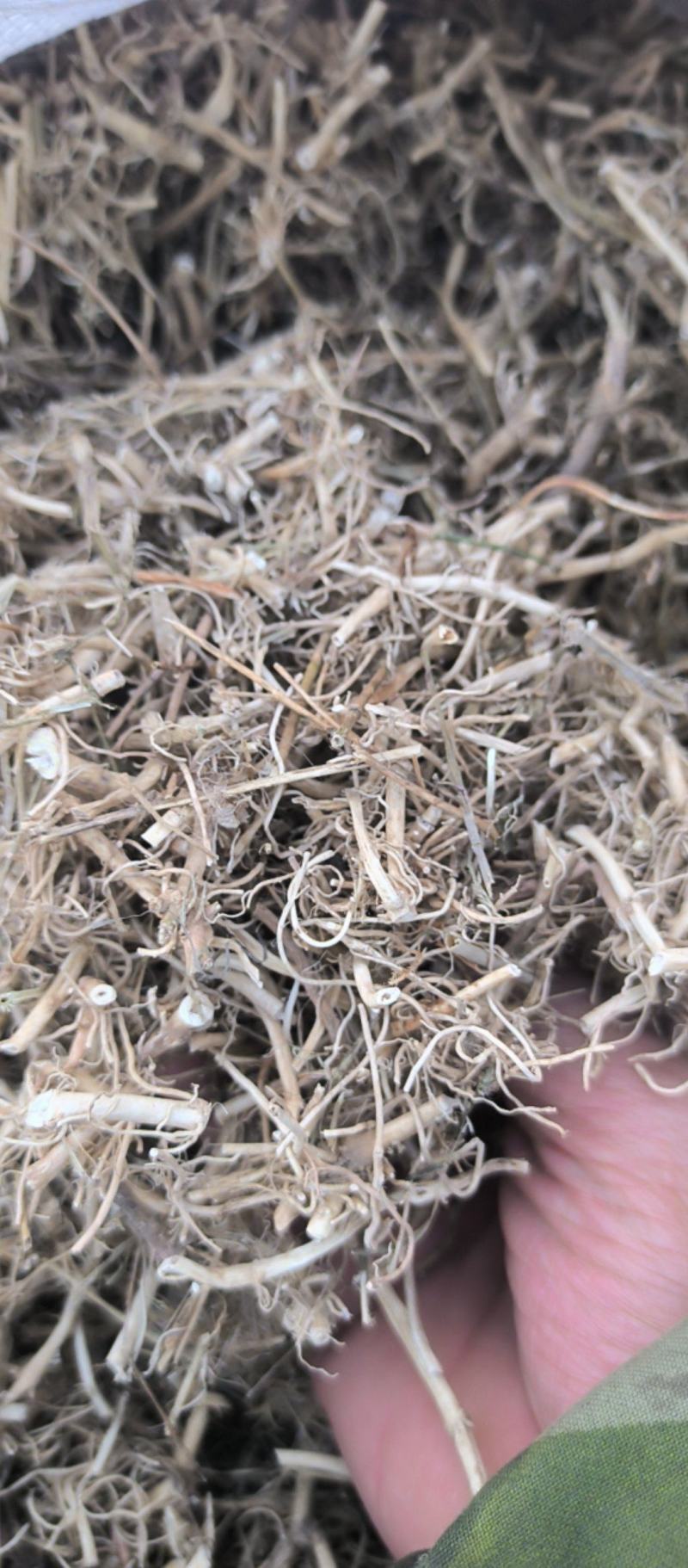 白前水洗白前中药材批发白前质量保证量大从优