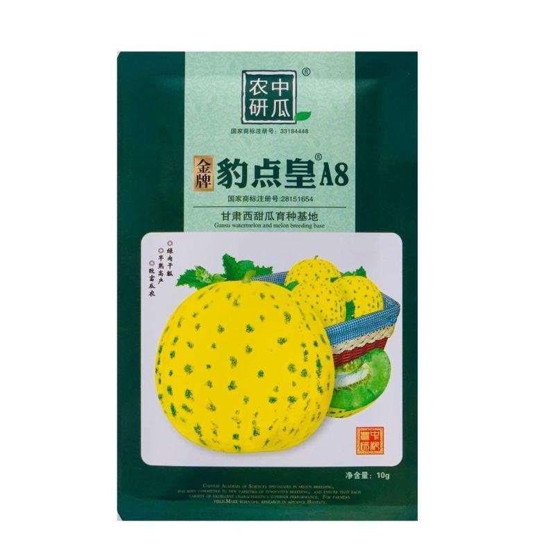 金牌豹点皇A8甜瓜种子糖度高绿肉青顶抗逆性强耐贮运豹点甜