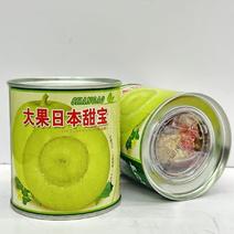 大果日本甜宝杂交一代甜瓜种子高产甜香瓜种籽不裂果香瓜大田