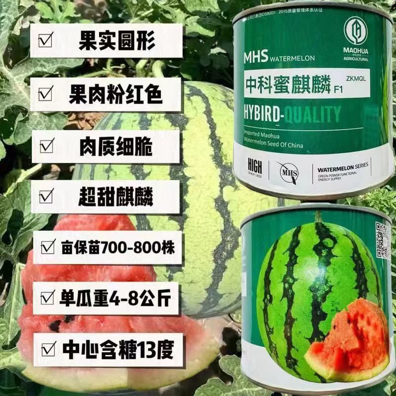 中科茂华蔬菜瓜果种子中科蜜麒麟西瓜种子麒麟8424中心含