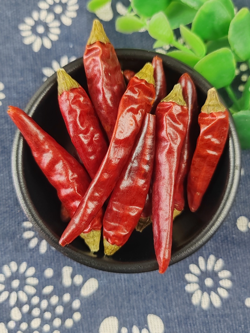 干辣椒
