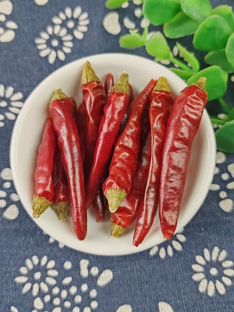 干辣椒