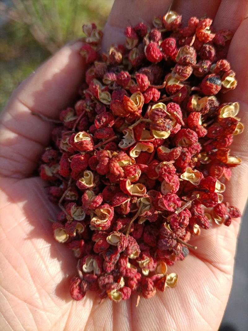 陕西大红梅花椒，特级香麻，颜色红，支持一件发货，量大从优