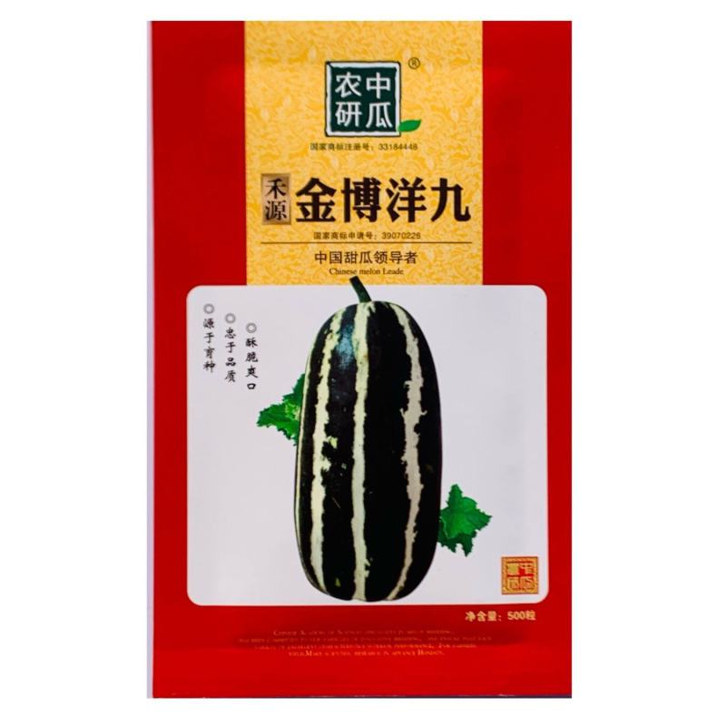 金博洋九薄皮杂交甜瓜种子厚肉黄绿色9号酥瓜种籽正宗香甜大