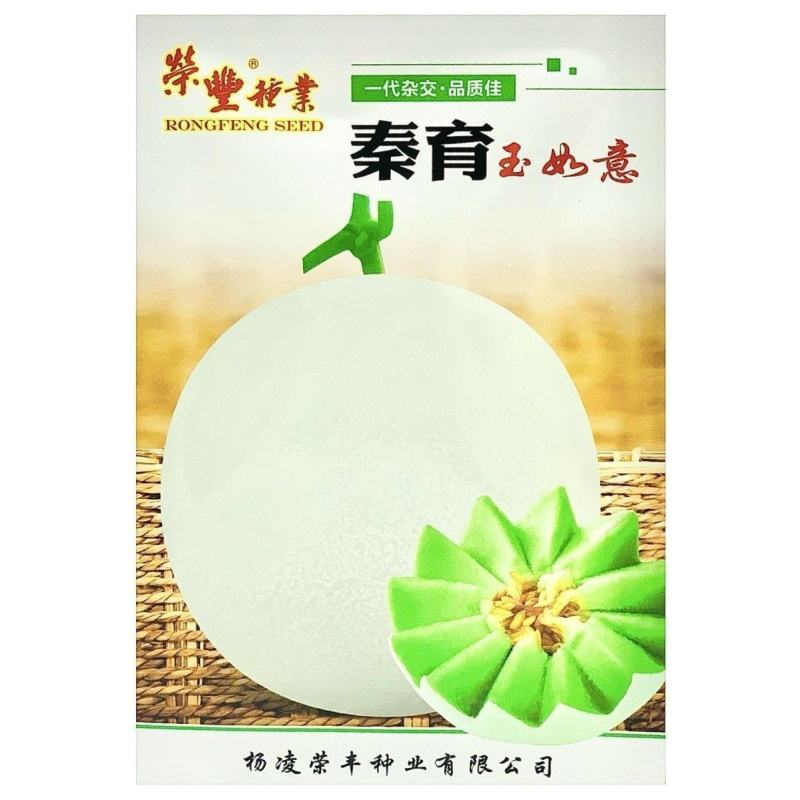 玉如意正圆玉菇甜瓜种子薄皮杂交甜瓜种籽抗病白皮绿肉质脆大