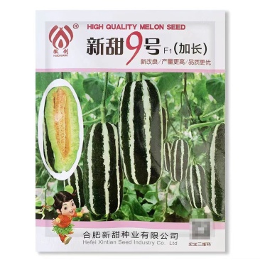 新甜9号薄皮杂交甜瓜种子厚肉黄绿色果肉酥脆种籽香甜抗病