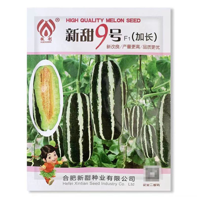 新甜9号薄皮杂交甜瓜种子厚肉黄绿色果肉酥脆种籽香甜抗病