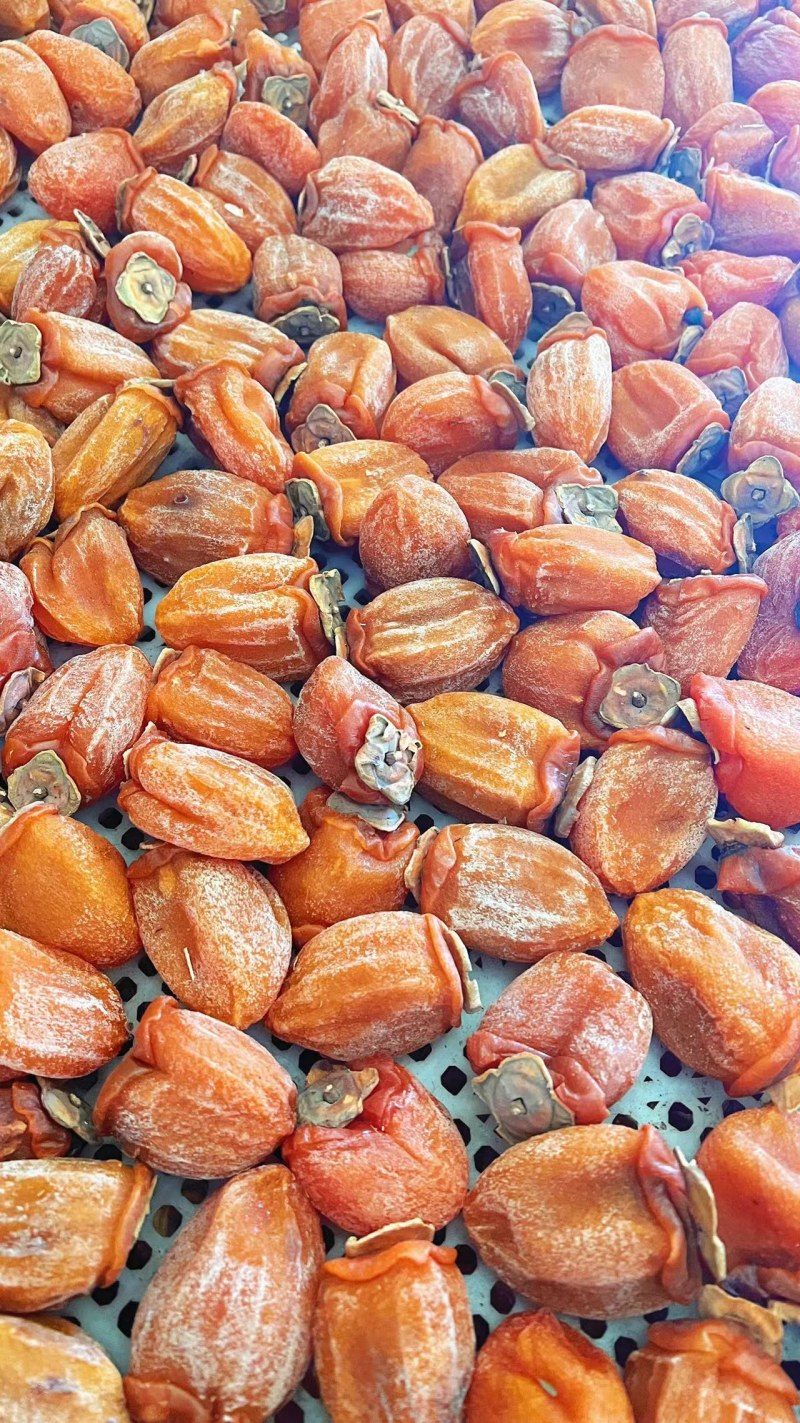 柿饼专业合作社欢迎您