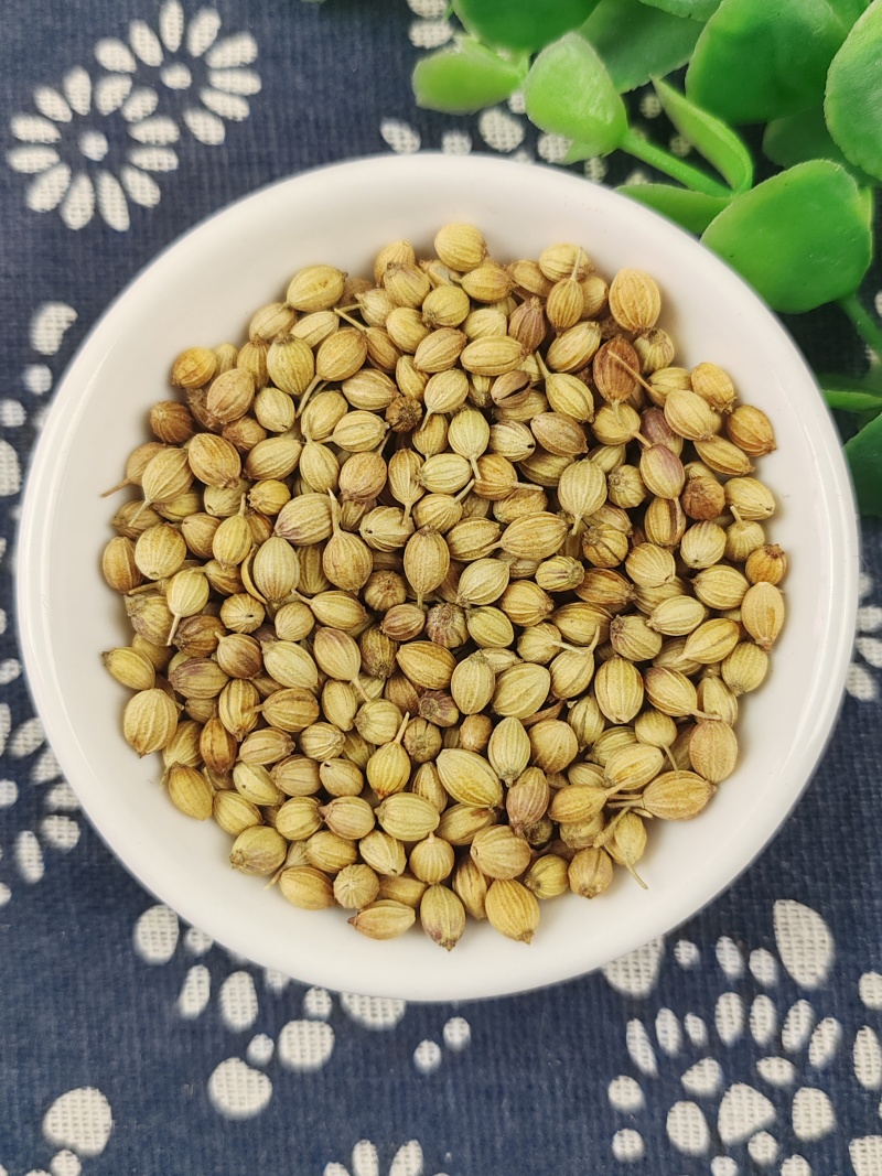 香菜籽