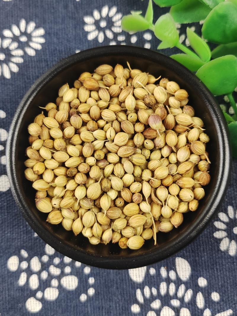 香菜籽