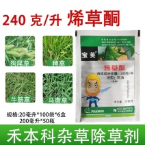 先达宝荚24%烯草酮花生大豆马唐芦苇牛筋草狗尾草除草剂