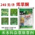 先达宝荚24%烯草酮花生大豆马唐芦苇牛筋草狗尾草除草剂