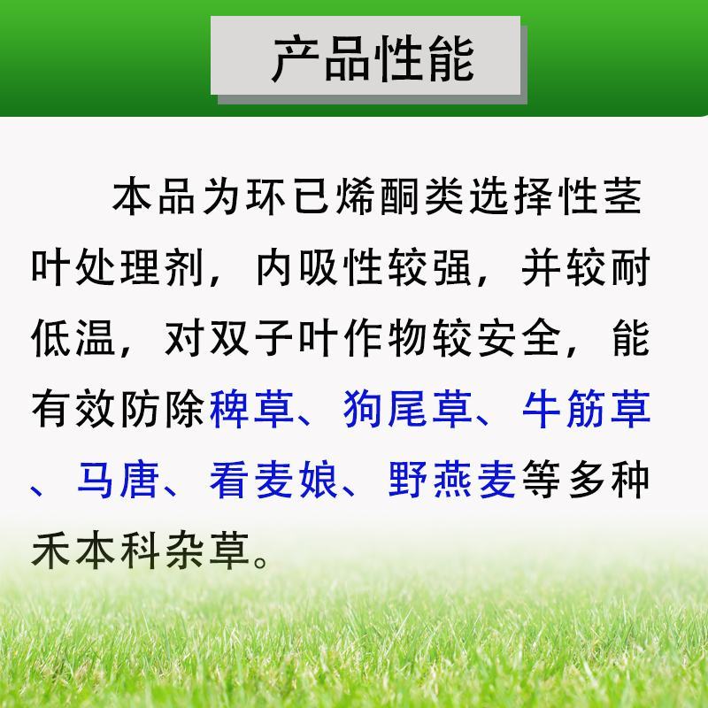 先达宝荚24%烯草酮花生大豆马唐芦苇牛筋草狗尾草除草剂
