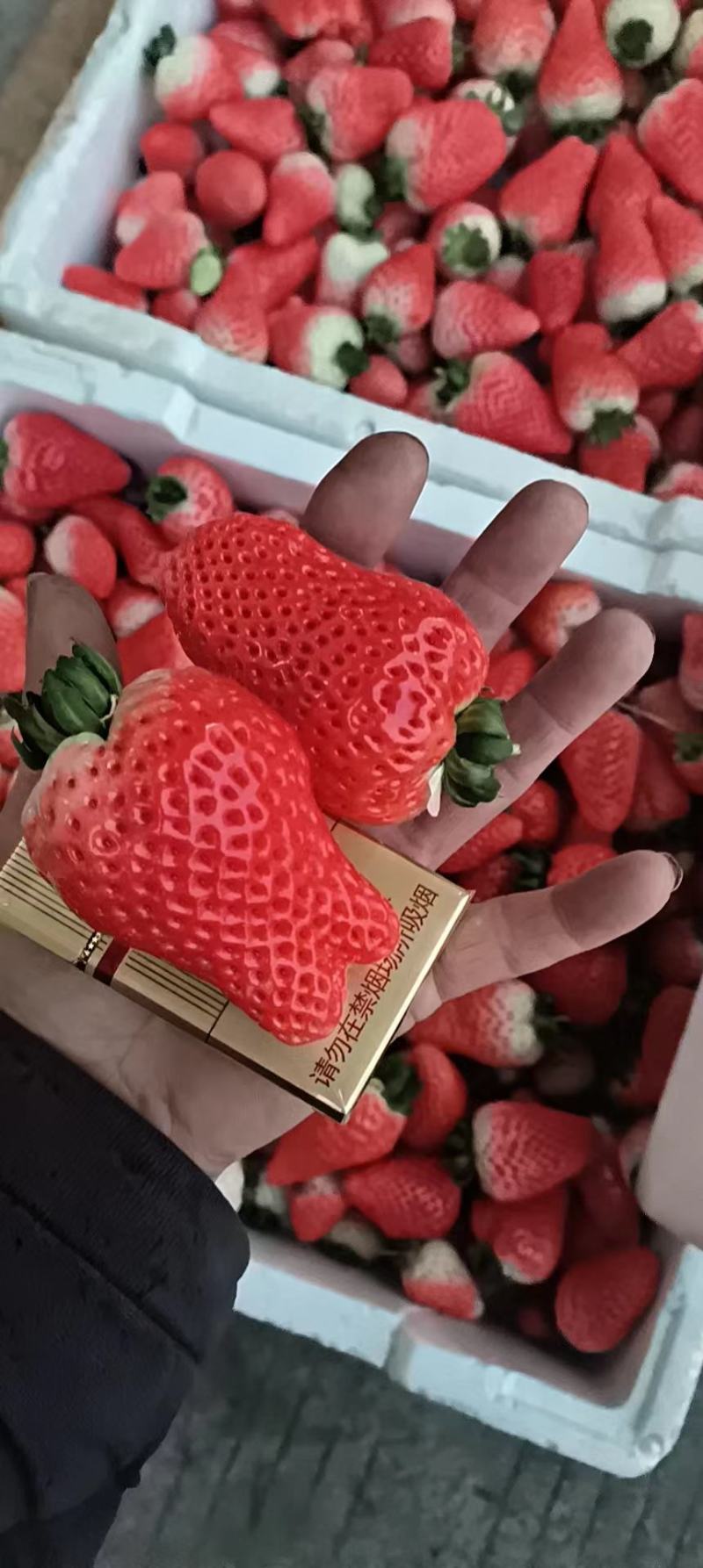 奶油草莓