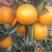 广西红江橙大量上市，产地直发欢迎各位客商来产地考察