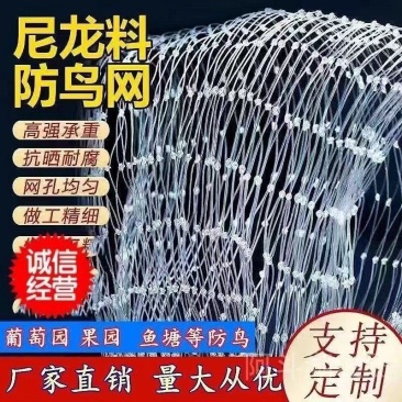 防鸟网葡萄园蓝莓园樱桃园鱼塘等防鸟用网可以视频看货