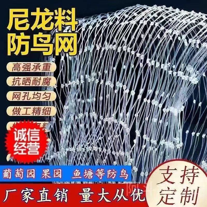 防鸟网葡萄园蓝莓园樱桃园鱼塘等防鸟用网可以视频看货