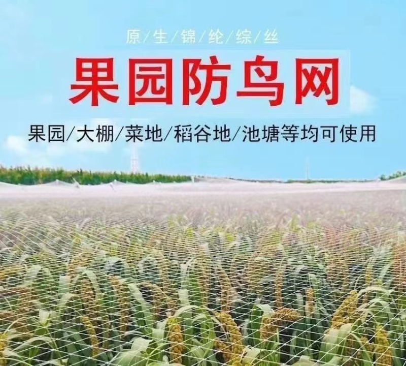 防鸟网葡萄园蓝莓园樱桃园鱼塘等防鸟用网可以视频看货