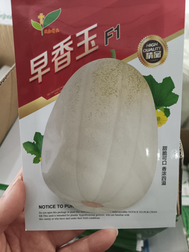 早熟香瓜品种薄皮甜瓜种子早香玉甜瓜种子10克装730粒左