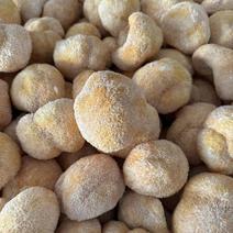 精品猴头菇，产地直供，质量保证，货源充足，欢迎选购