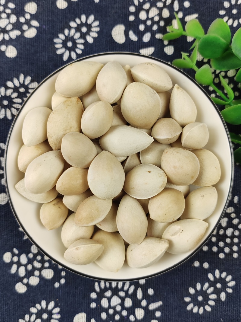 白果干果
