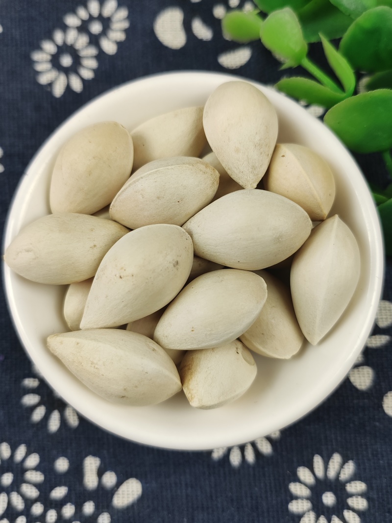 白果干果