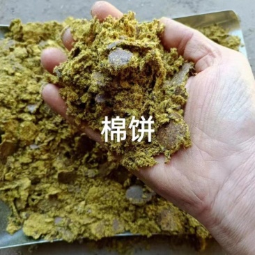 山东棉粕，产地直发，保质保量，欢迎老板前来选购