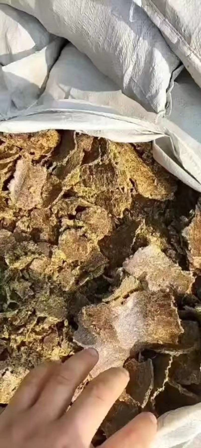 山东棉粕，产地直发，保质保量，欢迎老板前来选购
