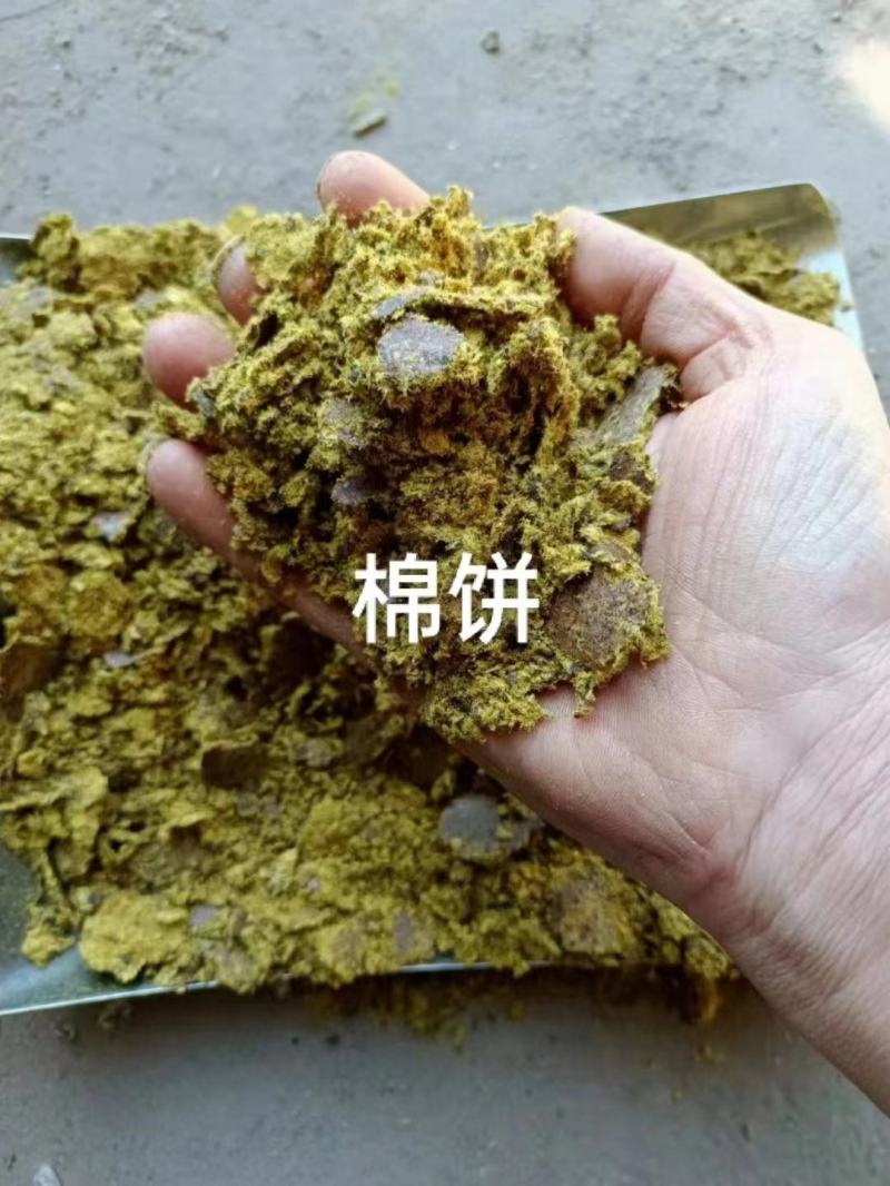 山东棉粕，产地直发，保质保量，欢迎老板前来选购