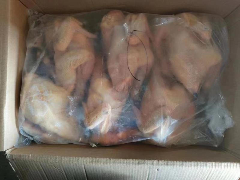 黑脚公鸡，大量供应欢迎来电12月7号生产中