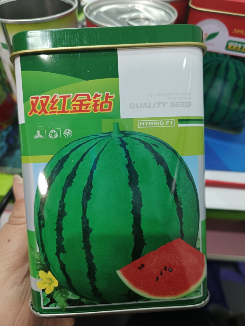 特大地雷西瓜种子圆花皮精品西瓜种双红瓤抗病亩产15000