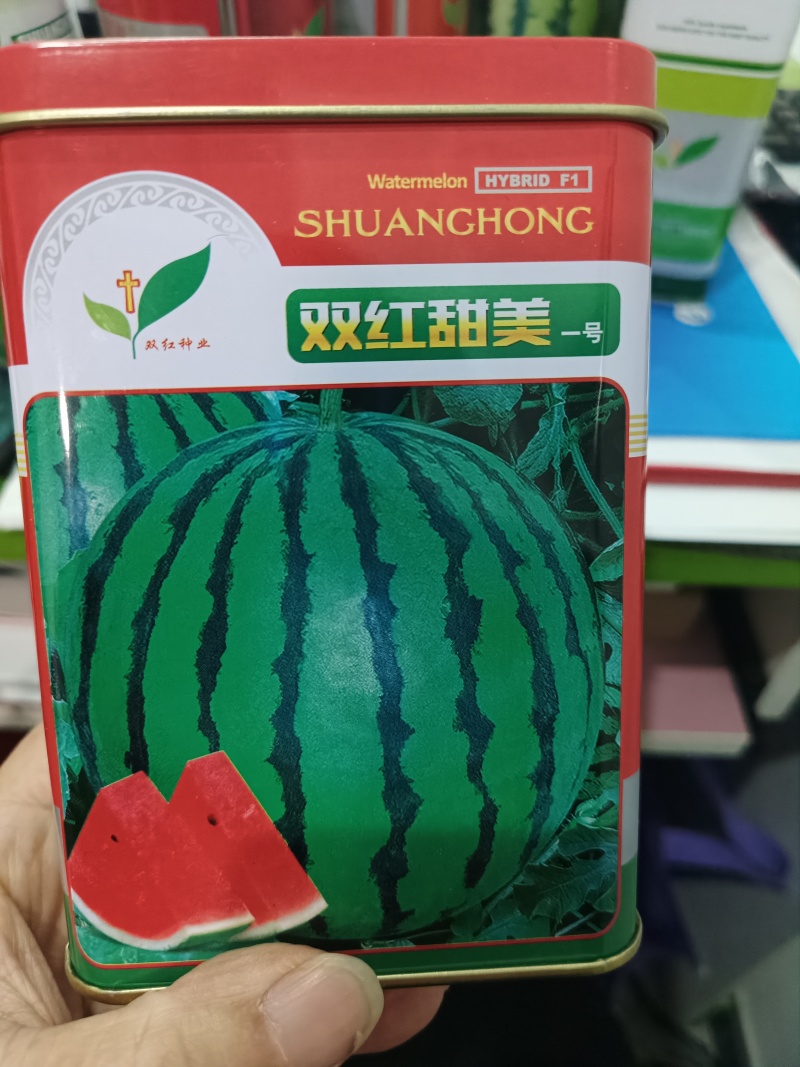 大果型地雷西瓜种子双红甜美易坐果易管理抗病性强