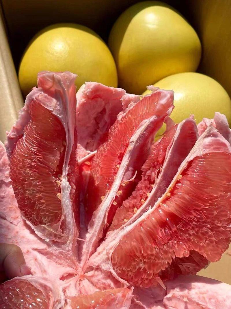 （实力）四川三红柚不甜包赔品质保证产地直发大量现货量