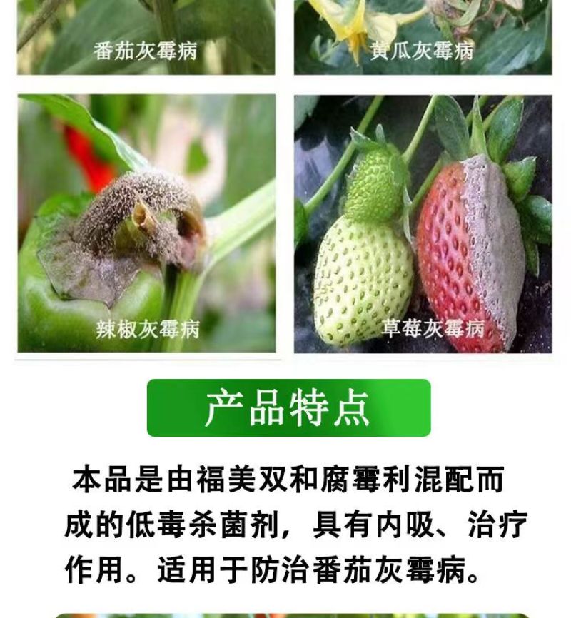 鲁抗蓝点25%腐霉利福美双番茄灰霉病专用药蔬菜杀菌剂农药