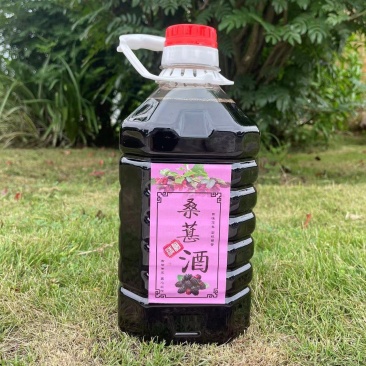 【精品】桑葚酒，口感醇厚且清爽，量大从优，欢迎咨询采购！