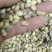 山东高温熟化碎黄豆，适合牛羊养殖，瓜果蔬菜大棚种地施肥