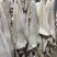 【半成品牛肚】批发50斤水煮牛肚子半成品牛肚
