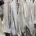 【半成品牛肚】批发50斤水煮牛肚子半成品牛肚