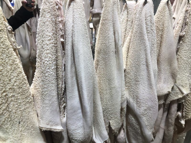 【半成品牛肚】批发50斤水煮牛肚子半成品牛肚
