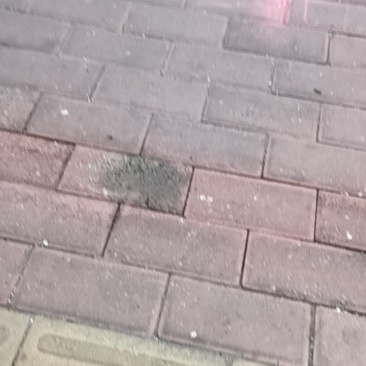 砖